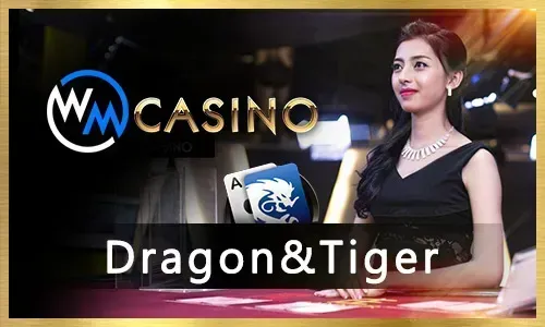 JL 330 Sports Betting